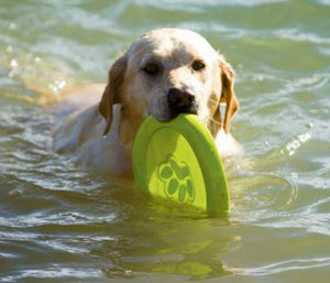 water frisbee